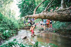 BIB: 
                            <button type="button" onclick="openModal(25516153)" class="btn btn-primary btn-sm float-right btn-popup" data-toggle="modal" data-target=".modal-high-quality">
                        <i class="fas fa-shopping-cart"></i> Add to Cart
                    </button>
                                            <button type="button" onclick="isThisMe(25516153, true)" class="btn btn-success btn-sm float-right btn-popup btn-isme hidden" data-toggle="tooltip" data-placement="bottom" title="นี่คือรูปของคุณใช่ไหม คลิกที่นี่เพื่อเอาเข้าอัลบั้ม">
                        <i class="fas fa-plus"></i> Add to album
                    </button>
                    <button type="button" onclick="isThisMe(25516153, false)" class="btn btn-warning btn-sm float-right btn-popup btn-isnotme hidden">
                        <i class="fas fa-ban"></i> Remove from album
                    </button>